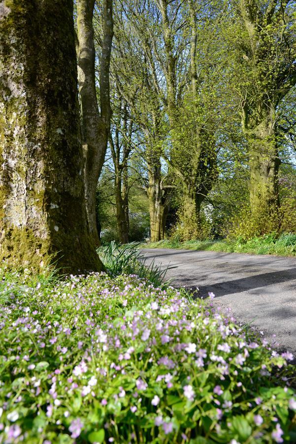 Craigadam Country House Hotel Kirkpatrick Durham Esterno foto